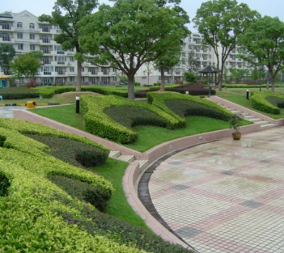 【山東泰聯(lián)集團:園林綠化建造花園水池的應注意的幾個事項】價格,廠家,工程施工