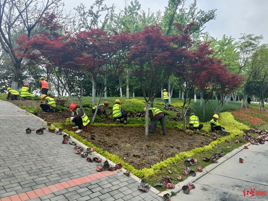 天府黃、錦官橙、太陽神鳥 成都三環(huán)路換上了新裝你注意到了嗎
