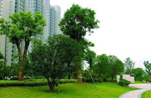 定了 2017年,咱海淀要為老百姓辦這36件貼心事兒