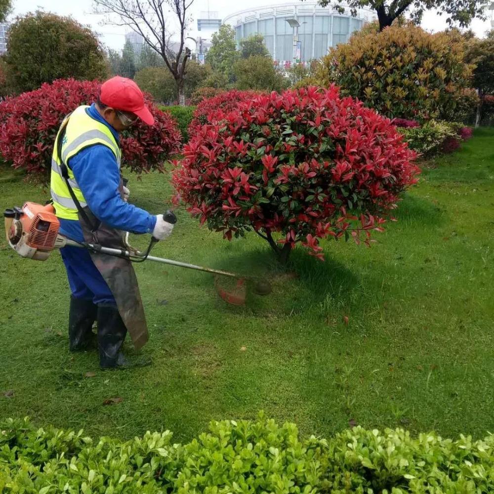 綠化養護-園林綠化-景觀設計-廣東怡軒園林環境工程