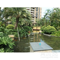 【工廠綠化養護、學校綠化養護、小區綠化養護修剪、園林綠化施工】-