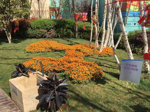 昆明綠化養護工程