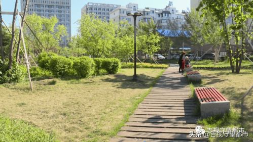 一起打卡呀 31處 口袋公園 預(yù)計(jì)5月末完工