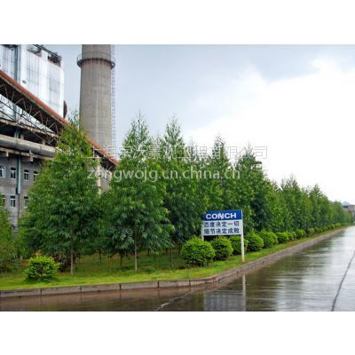 景觀設計_園林綠化_綠化養(yǎng)護_苗樹銷售&ndash;【上海宗沃景觀工程】