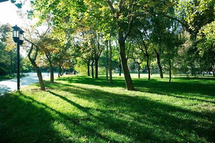 福建省農村土地承包經營權確權登記頒證工作有關法規(guī)政策問題解答 一